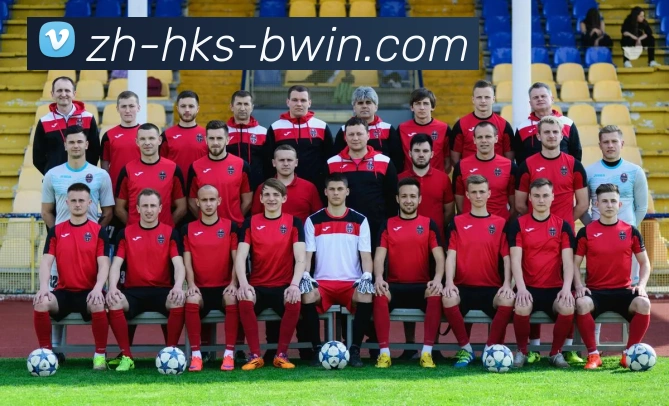 Bwin必赢官网服务体系